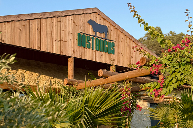 Dost Angus Burger Hakkında